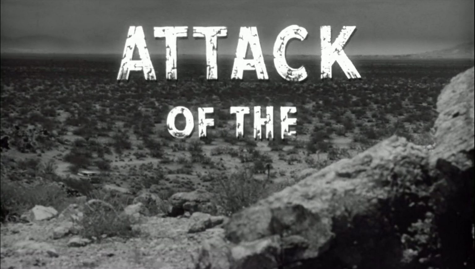 attack of the 50 foot woman