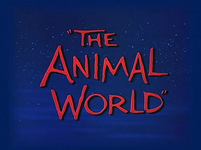 The Animal World (1956)