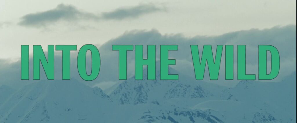 Into the Wild (2007)