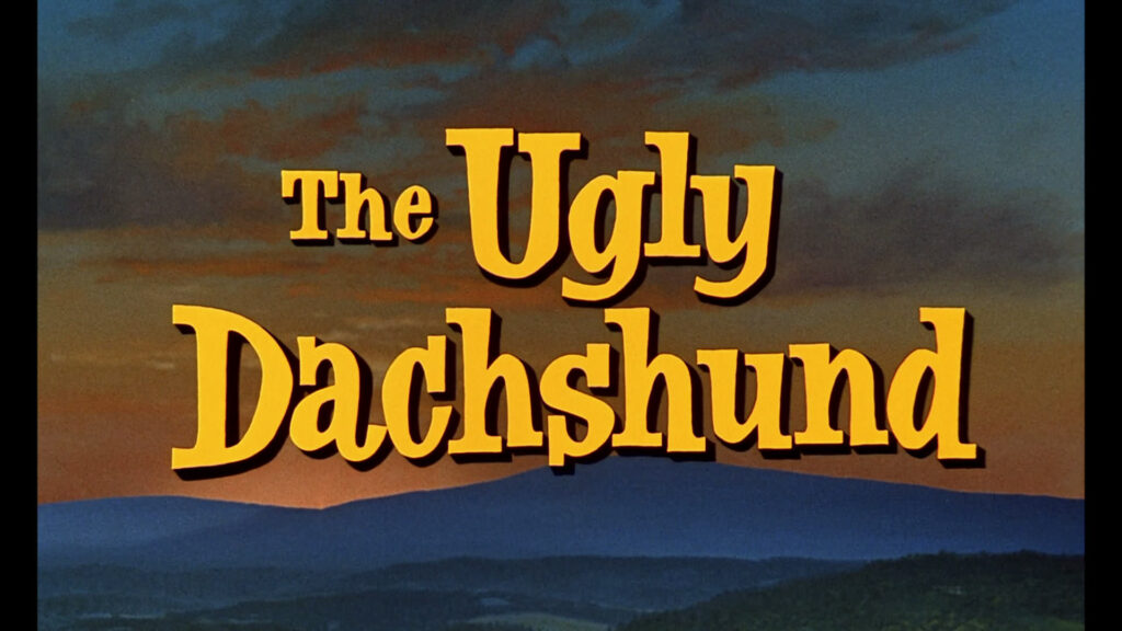 The Ugly Dachshund (1966)
