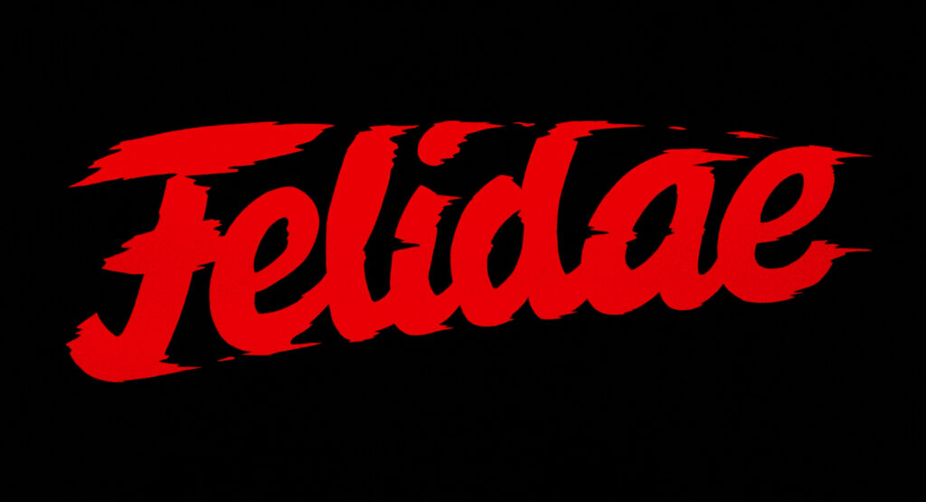 Felidae (1994) [4K]